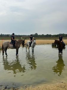 IMG-20250813-WA0069 (1)